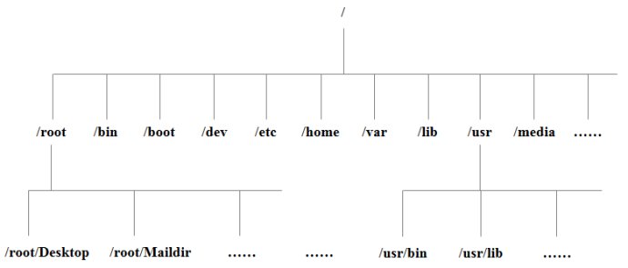 树状目录结构1