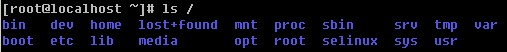 Linux 系统目录结构