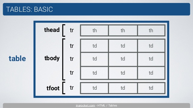 Div td tr tbody. Thead tbody. Таблица html thead. Table thead tbody tfoot. Tbody html что это.