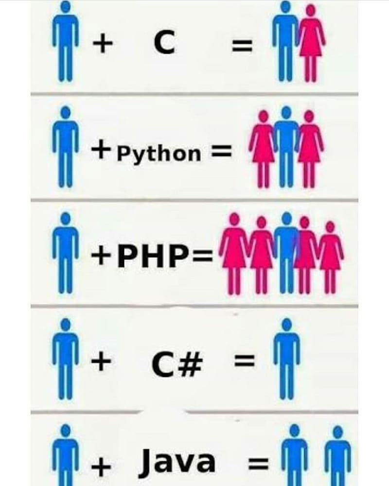 Язык pro c. Шутки про языки программирования. Языки программирования Мем. Шуточные языки программирования. Мемы про языки программирования.